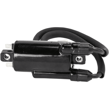 RICK'S MOTORSPORT ELECTRIC ignition Coil Honda 23108