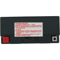 PARTS UNLIMITED AGM Battery YT14B4