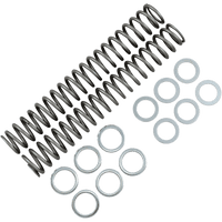 RACE TECH Fork Springs 0.85 kg/mm FRSP S3827085