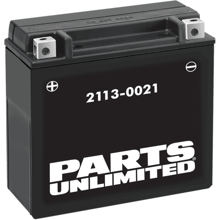 PARTS UNLIMITED AGM Battery YTX20H-BS .95 L