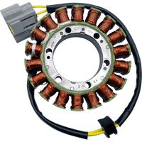 RICK'S MOTORSPORT ELECTRIC OE Style Stator Ducati 21041