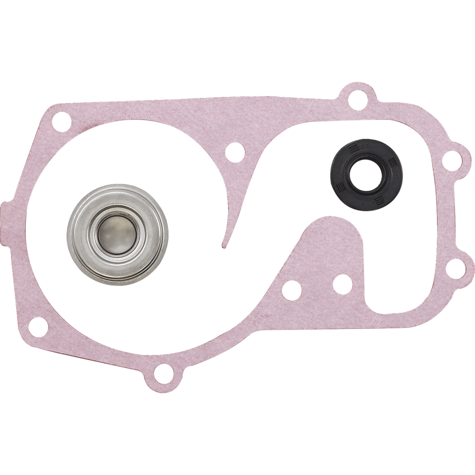 VERTEX Water Pump Repair Kit Polaris