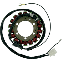 RICK'S MOTORSPORT ELECTRIC Stator Yamaha 21401