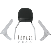 COBRA Sissy Bar Standard 750 Aero 025118