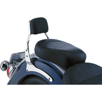 COBRA Sissy Bar Mini 750 Aero 024618