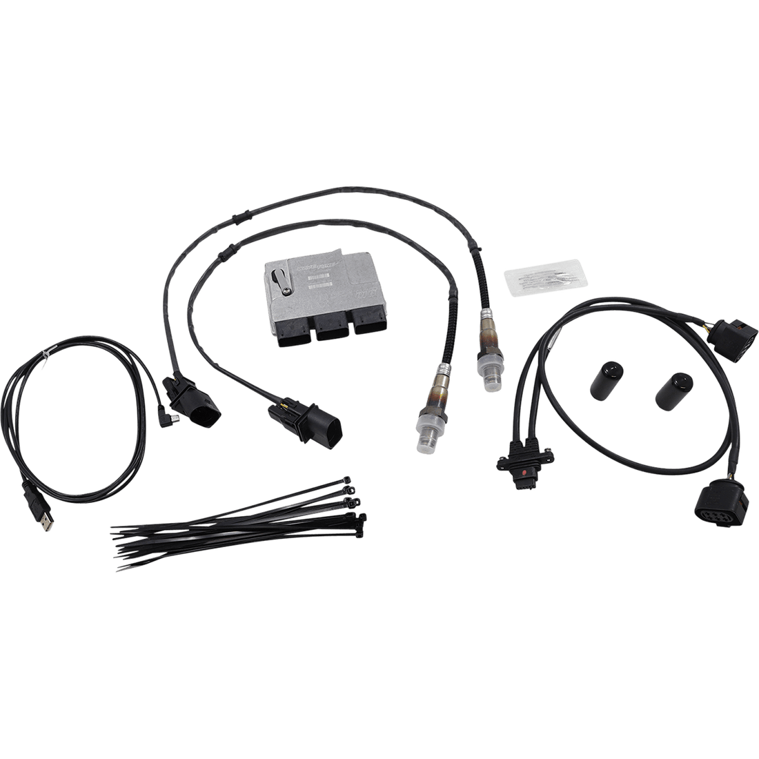 THUNDERMAX ThunderMax Engine Control Module Kit with Integral Auto Tune '18-'20 Softail 309589