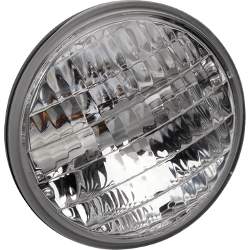 POLISPORT Bulb LED 8667800001