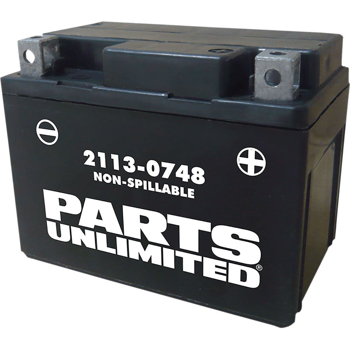 PARTS UNLIMITED AGM Battery YTX4L