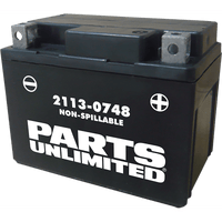 PARTS UNLIMITED AGM Battery YTX4L