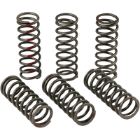 PRO CIRCUIT Clutch Springs CRF 450R CSH13450CS