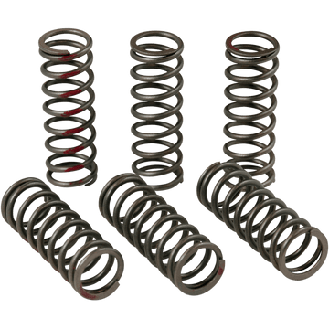 PRO CIRCUIT Clutch Springs CRF 450R CSH13450CS