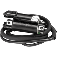 RICK'S MOTORSPORT ELECTRIC ignition Coil Honda