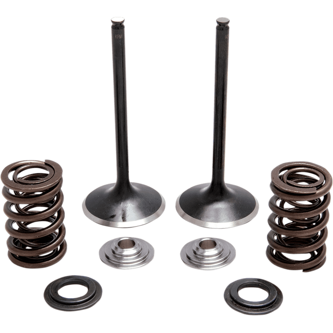 KIBBLEWHITE Spring Kit Stainless Steel 3031230