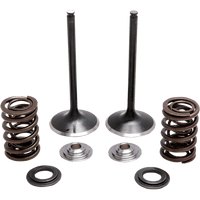 KIBBLEWHITE Spring Kit Stainless Steel 3031230