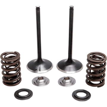 KIBBLEWHITE Spring Kit Stainless Steel 3031230