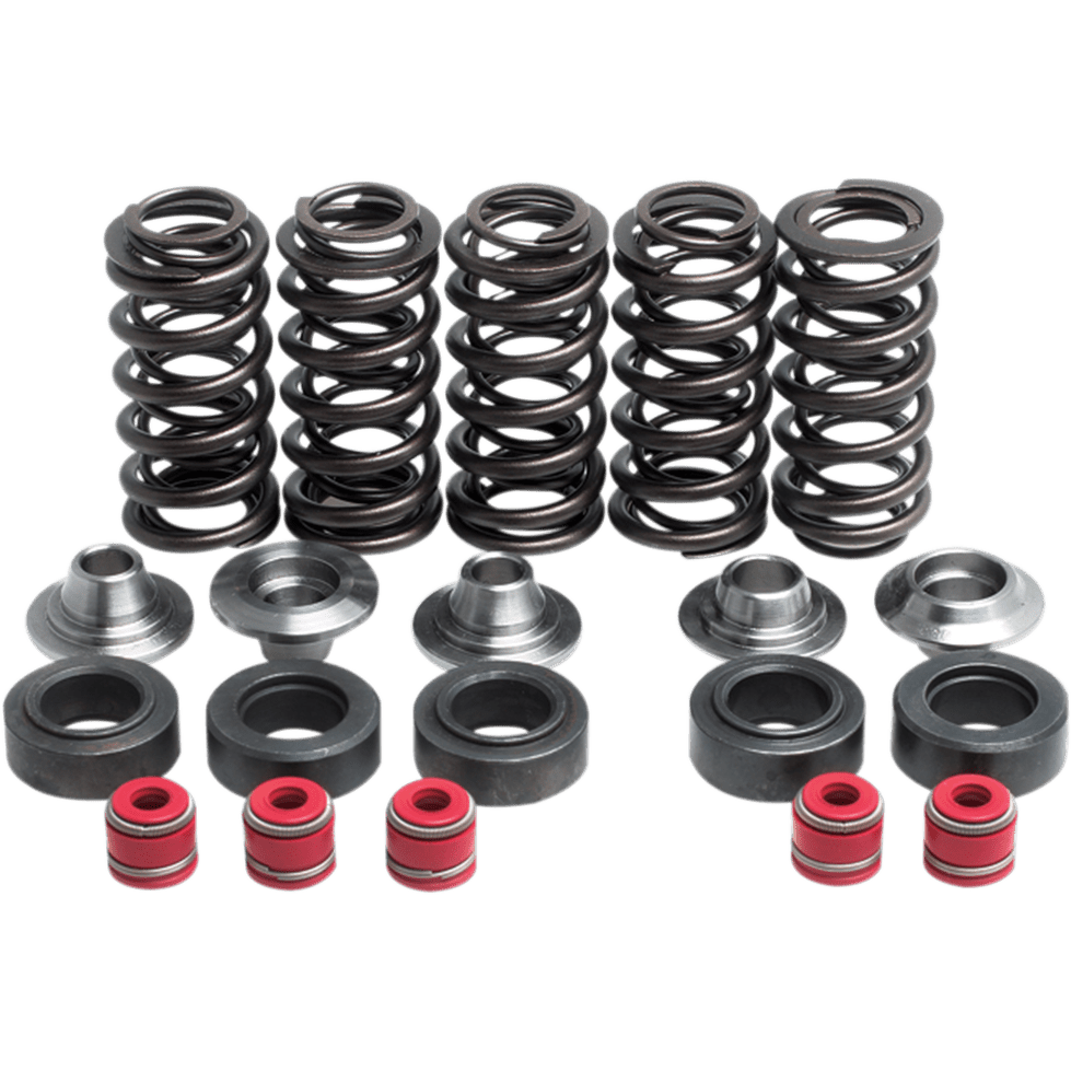 KIBBLEWHITE Valve Spring Kit 8080100