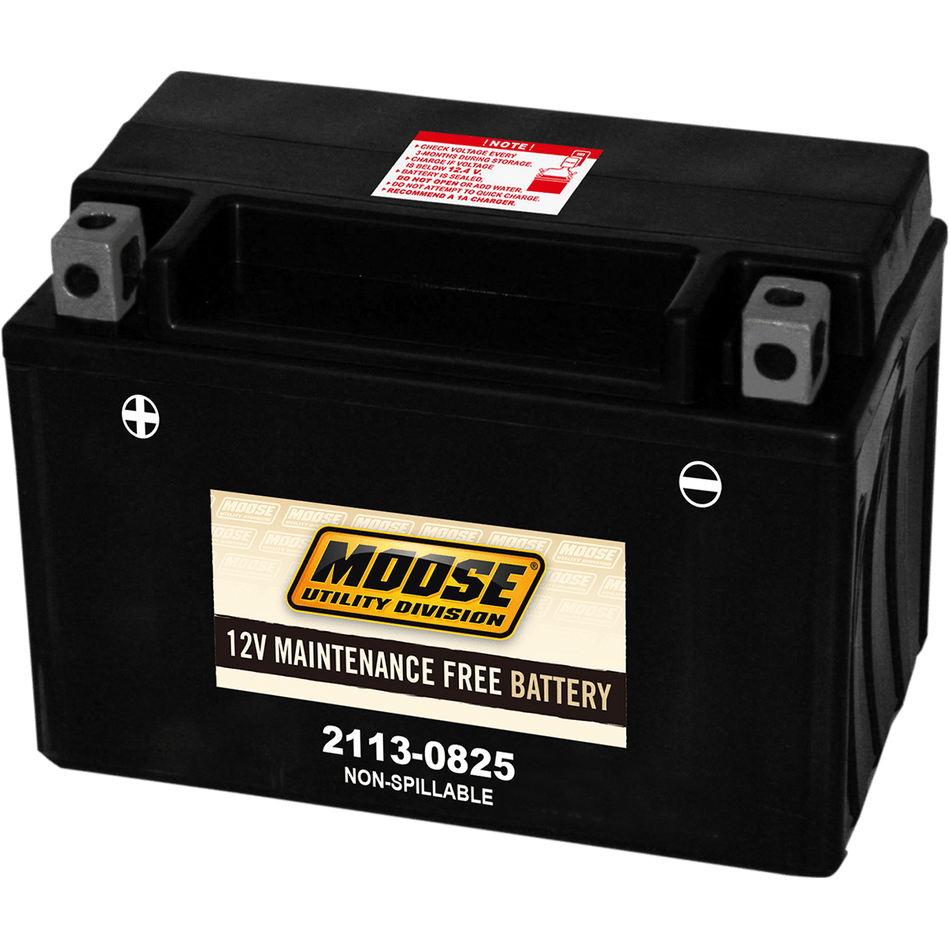 MOOSE UTILITY AGM Battery CTX9