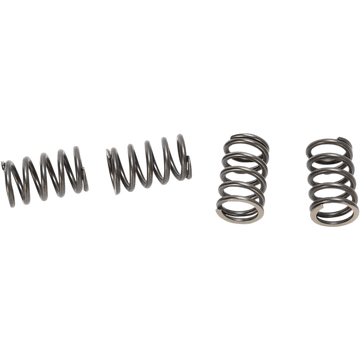 BBR MOTORSPORTS HD Clutch Springs