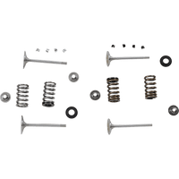 XCELDYNE Complete Valve Kit CRF450R/X