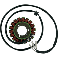 RICK'S MOTORSPORT ELECTRIC Stator Suzuki 21303