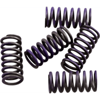 HINSON RACING Clutch Spring Kit