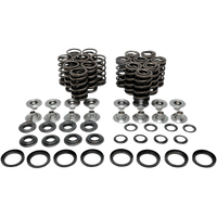 KIBBLEWHITE Valve Spring Kit