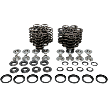 KIBBLEWHITE Valve Spring Kit