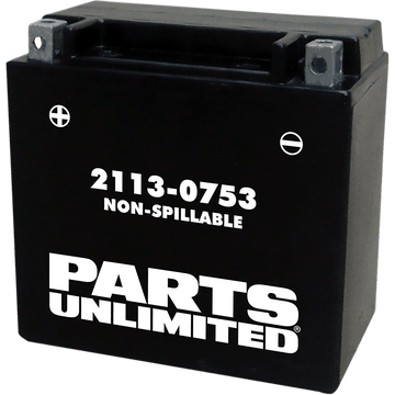 PARTS UNLIMITED AGM Battery YTX14