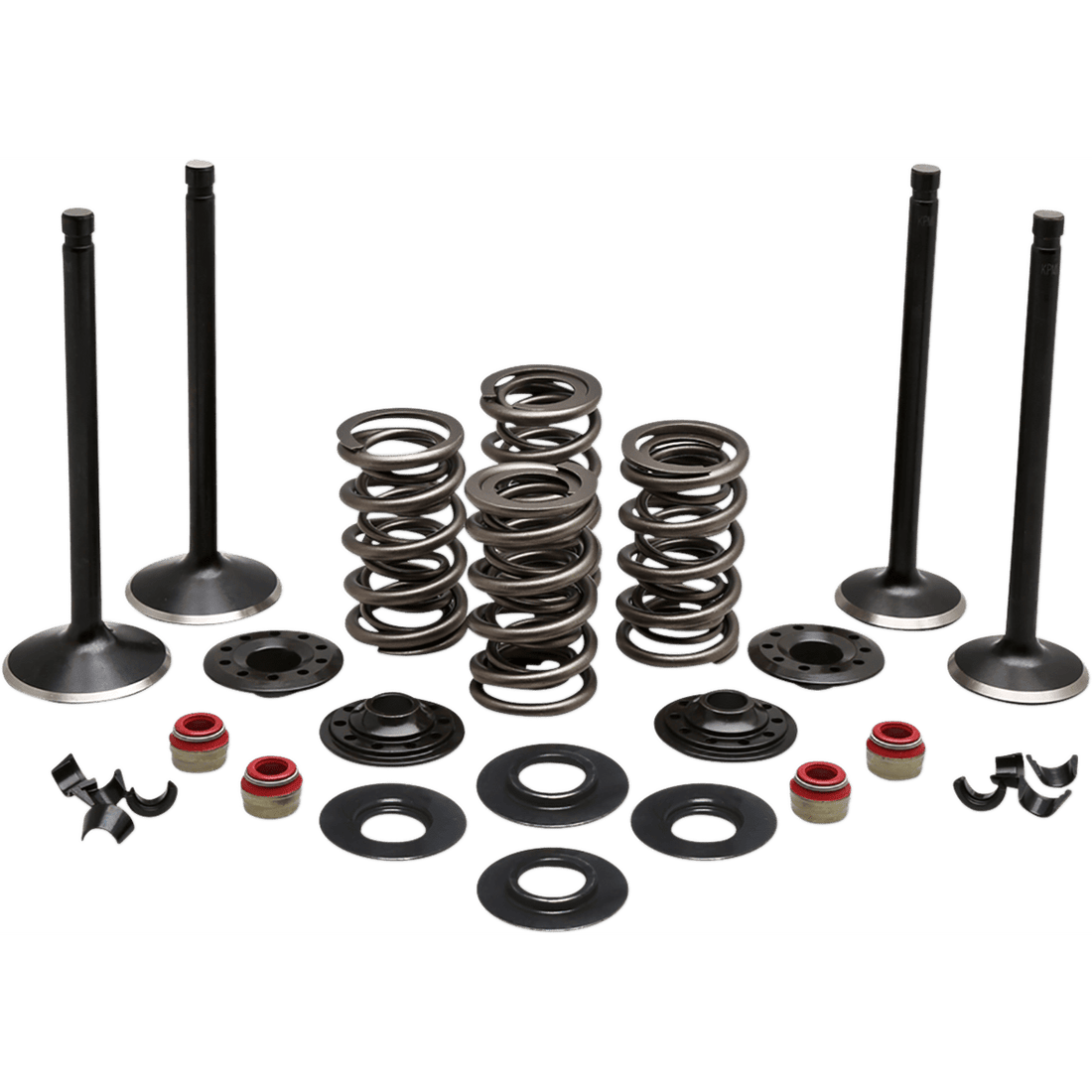 KIBBLEWHITE Complete Valve Kit Evolution/883