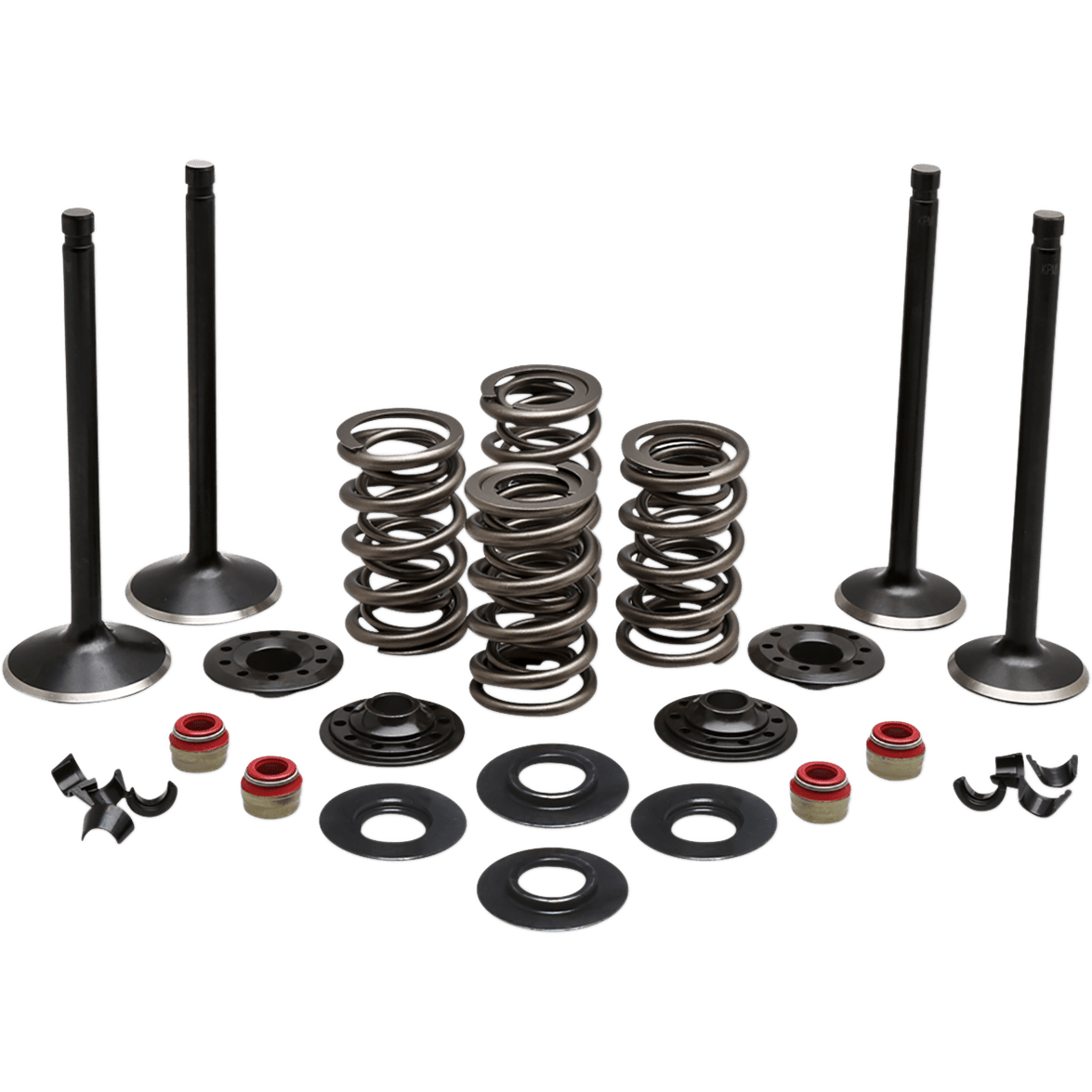 KIBBLEWHITE Complete Valve Kit Evolution/883