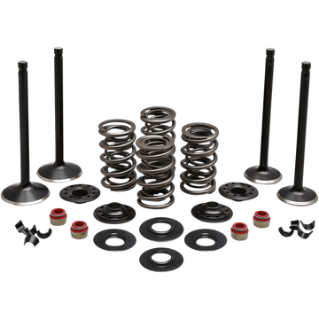 KIBBLEWHITE Complete Valve Kit Evolution/883