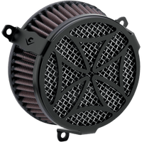 COBRA Air Cleaner Kit Black 606010202BSB