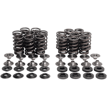 KIBBLEWHITE Valve Spring Kit