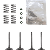 WISECO Valve Kit