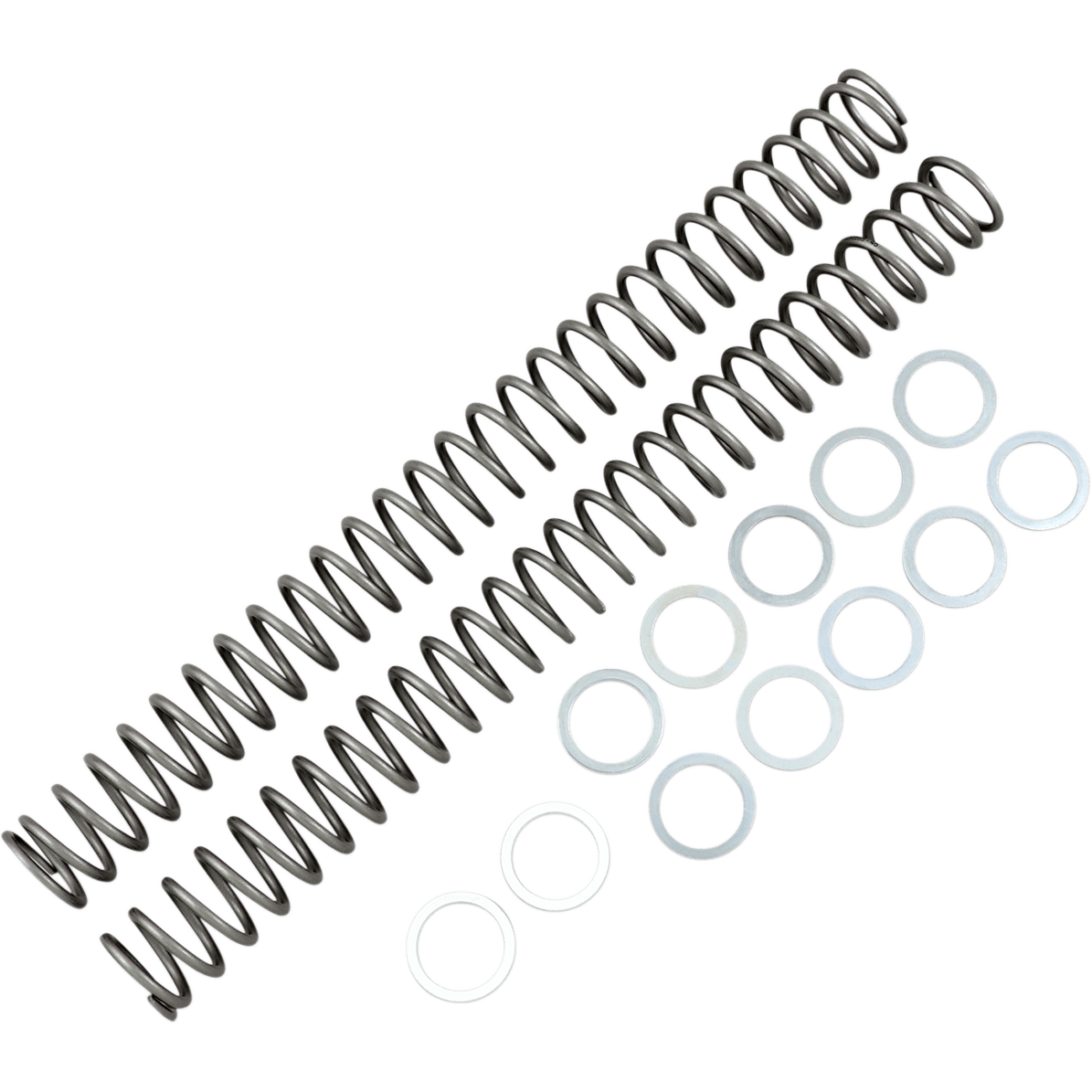 RACE TECH Fork Springs 0.46 kg/mm FRSP 434646