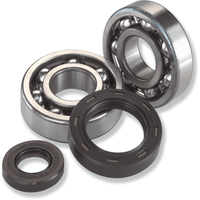 MOOSE RACING Crankcase Bearing and Seal Kit