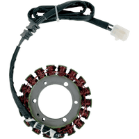 RICK'S MOTORSPORT ELECTRIC Stator Yamaha 21402