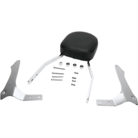 COBRA Sissy Bar Standard Raider 025265