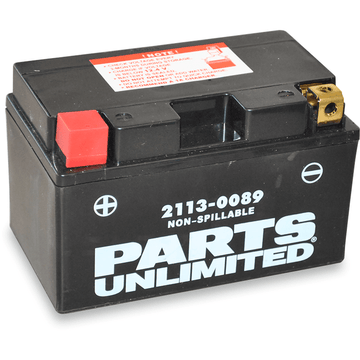 PARTS UNLIMITED AGM Battery YTZ10S