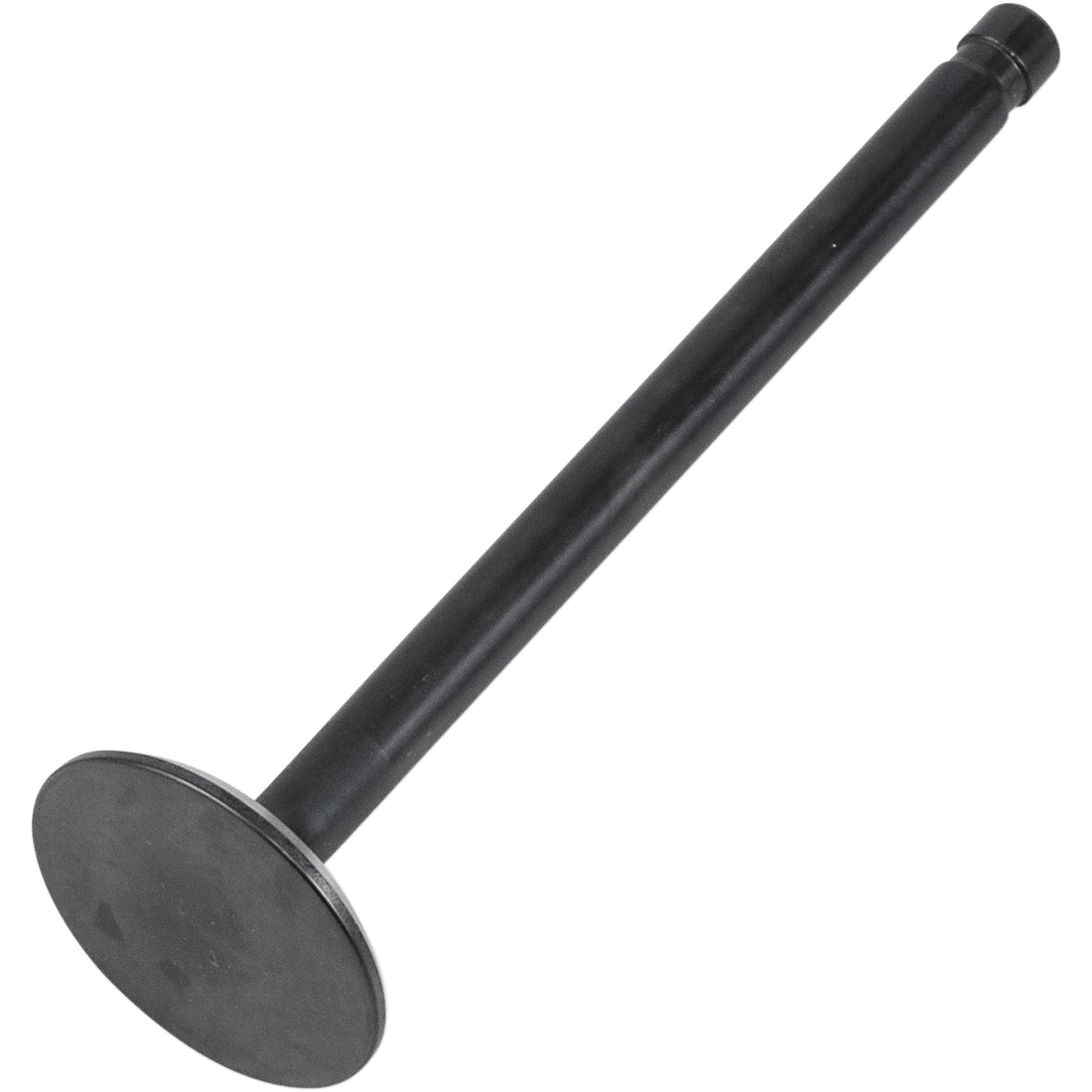 KIBBLEWHITE Exhaust Valve 883 XL