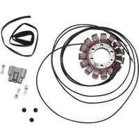 RICK'S MOTORSPORT ELECTRIC Stator BMW 21033