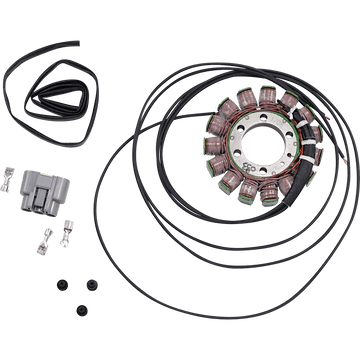 RICK'S MOTORSPORT ELECTRIC Stator BMW 21033