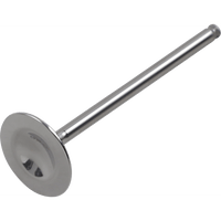 DEL WEST Intake Valve DWCRF150RIV07