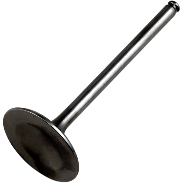 HOT CAMS Intake Valve Titanium Honda