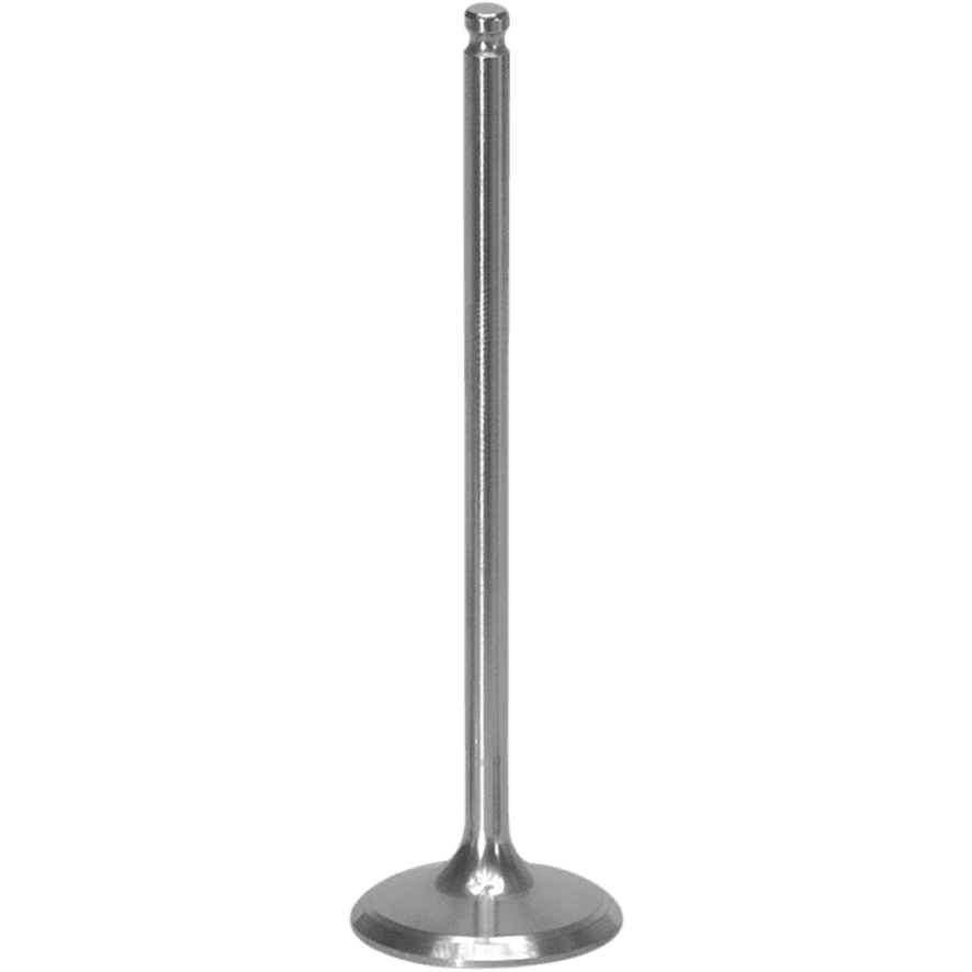 XCELDYNE Intake Valve