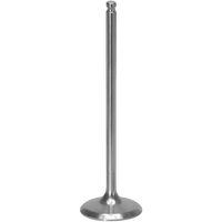 XCELDYNE Intake Valve