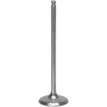 XCELDYNE Intake Valve