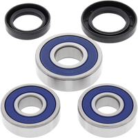 ALL BALLS Wheel Bearing Kit Rear