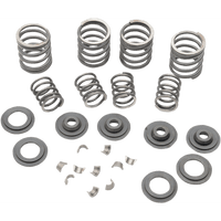 EASTERN MOTORCYCLE PARTS Valve Spring Kit Big Twin