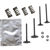 WISECO Valve Kit